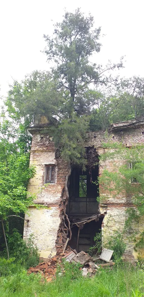 Ruinas de estructuras coloniales